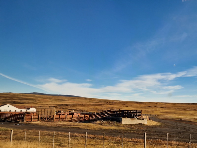 20260320_093817 (Kopiowanie).jpg
