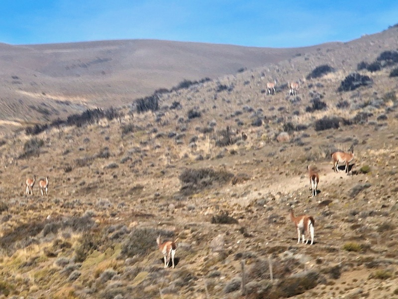 20260320_130144 (Kopiowanie).jpg
