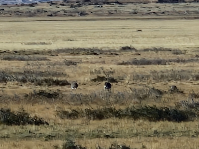 20260321_095406 (Kopiowanie).jpg