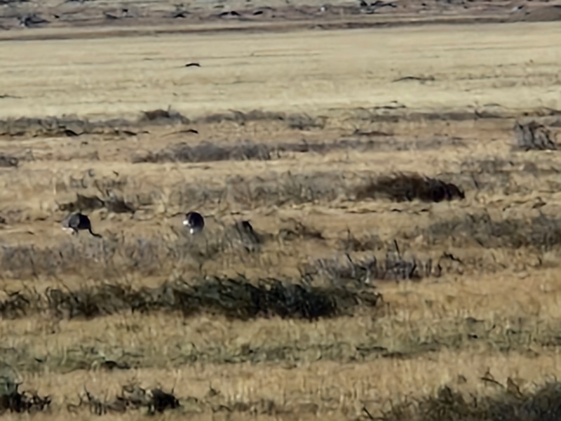 20260321_095434 (Kopiowanie).jpg