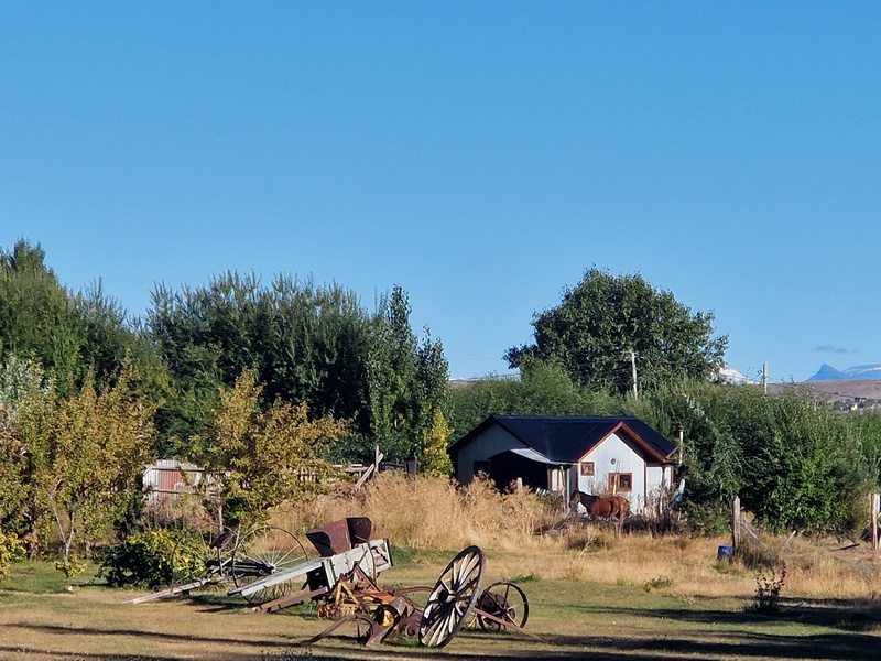 20260322_102503 (Kopiowanie).jpg