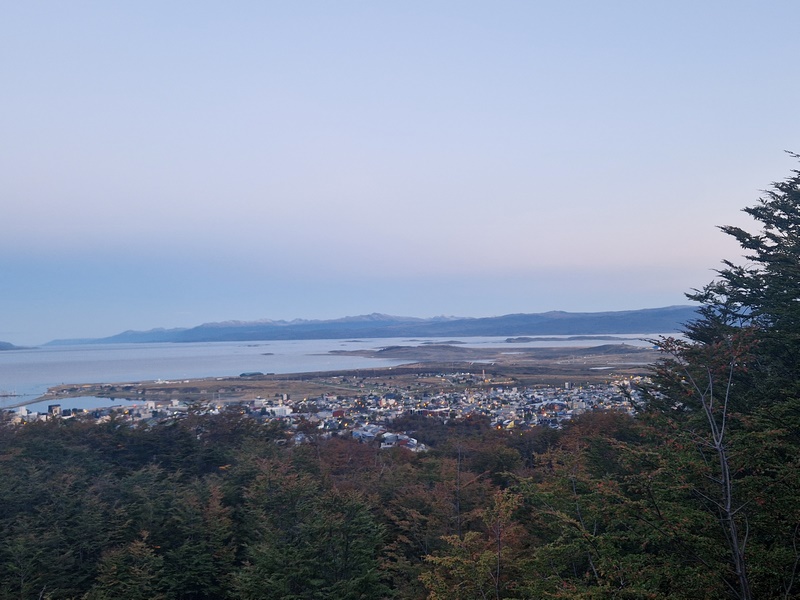 20260322_195000 (Kopiowanie).jpg
