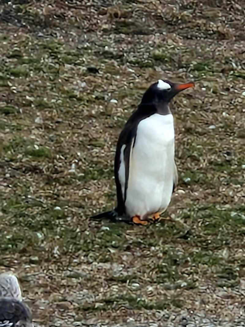 20260323_114859 (Kopiowanie).jpg