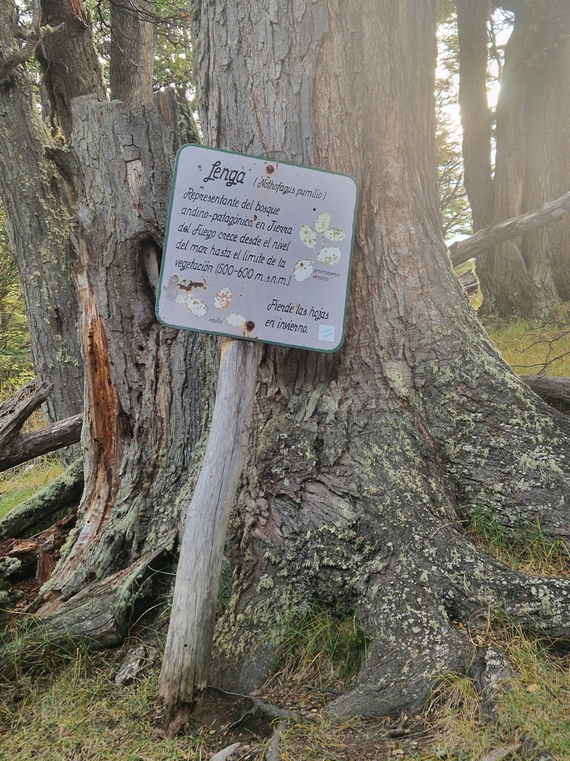 20260323_174448 (Kopiowanie).jpg