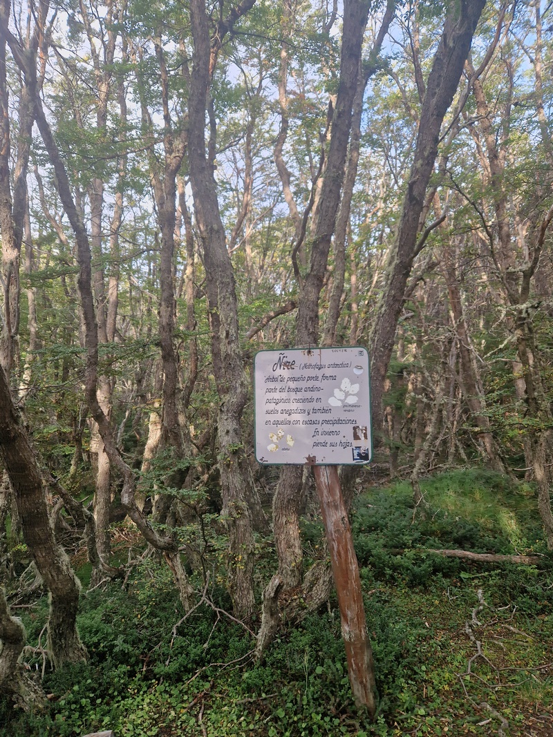 20260323_174813 (Kopiowanie).jpg