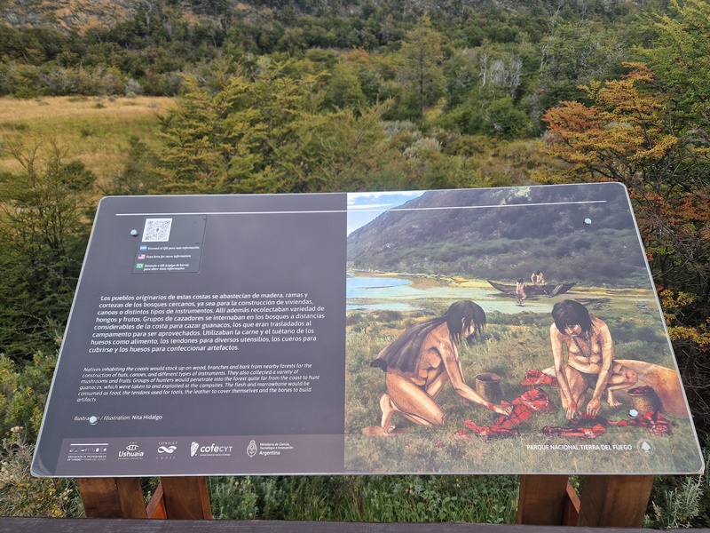 20260323_181325 (Kopiowanie).jpg