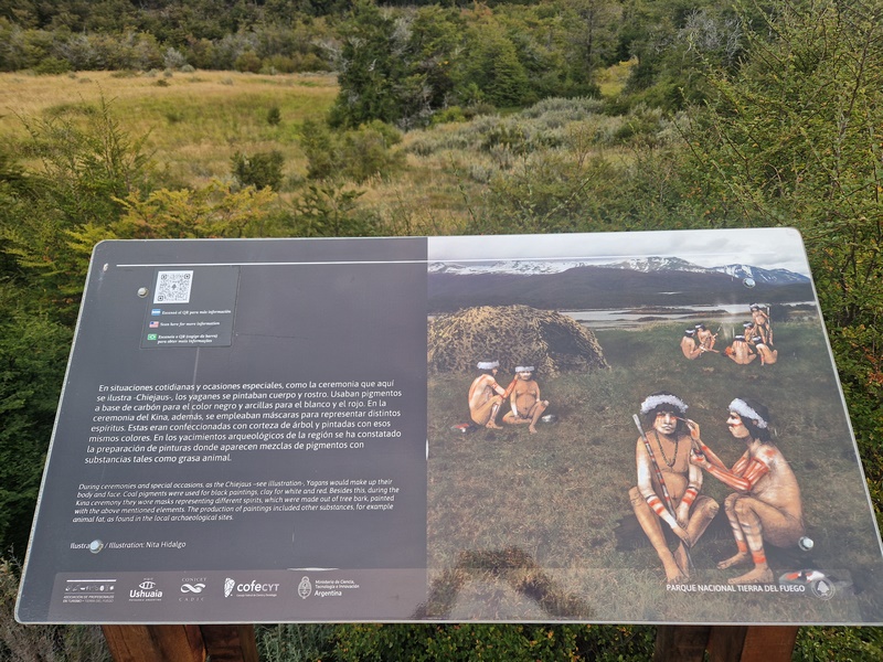 20260323_181339 (Kopiowanie).jpg