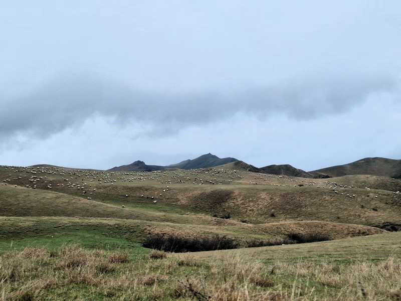 20260421_122515 (Kopiowanie).jpg