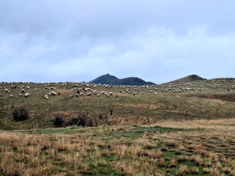 20260421_122520 (Kopiowanie).jpg