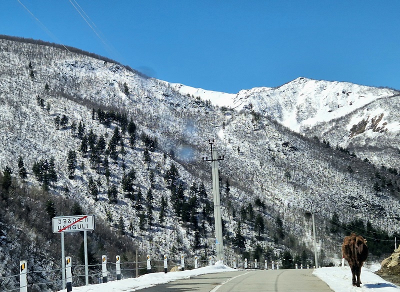 20260426_120213 (Kopiowanie).jpg