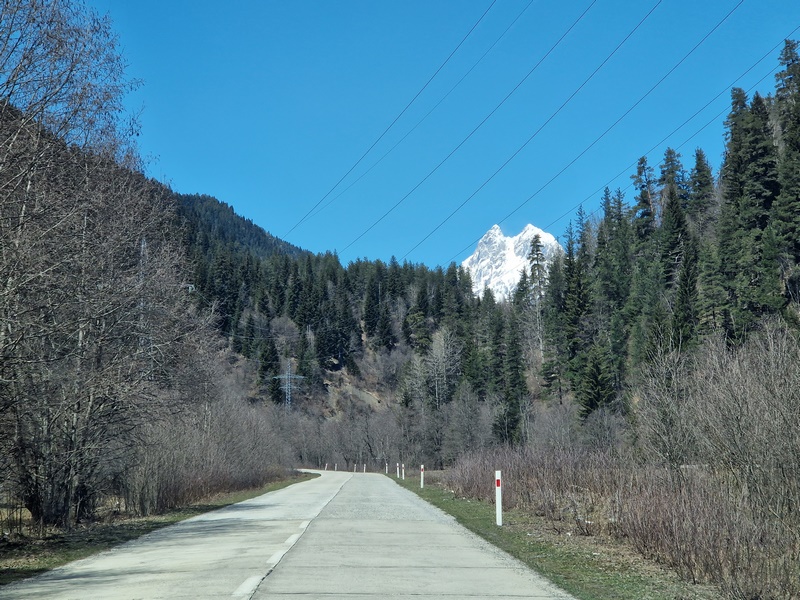 20260426_122931 (Kopiowanie).jpg
