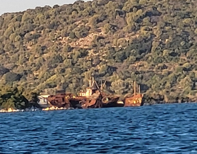 20250828_191120.jpg