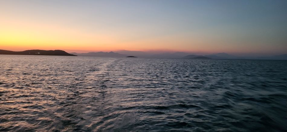 20250828_203710.jpg