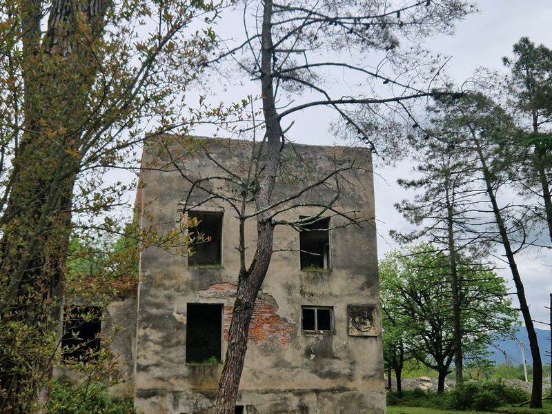 20260429_124322 (Kopiowanie).jpg