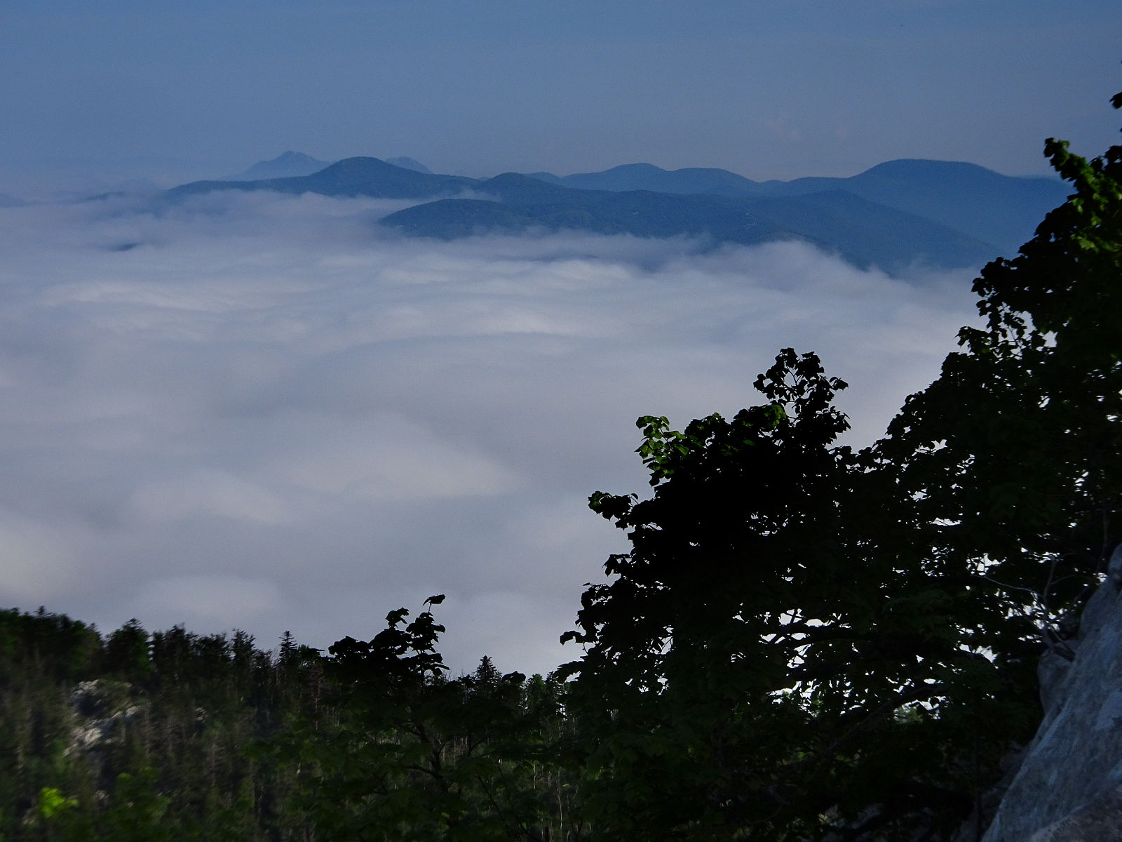 DSC01077.JPG