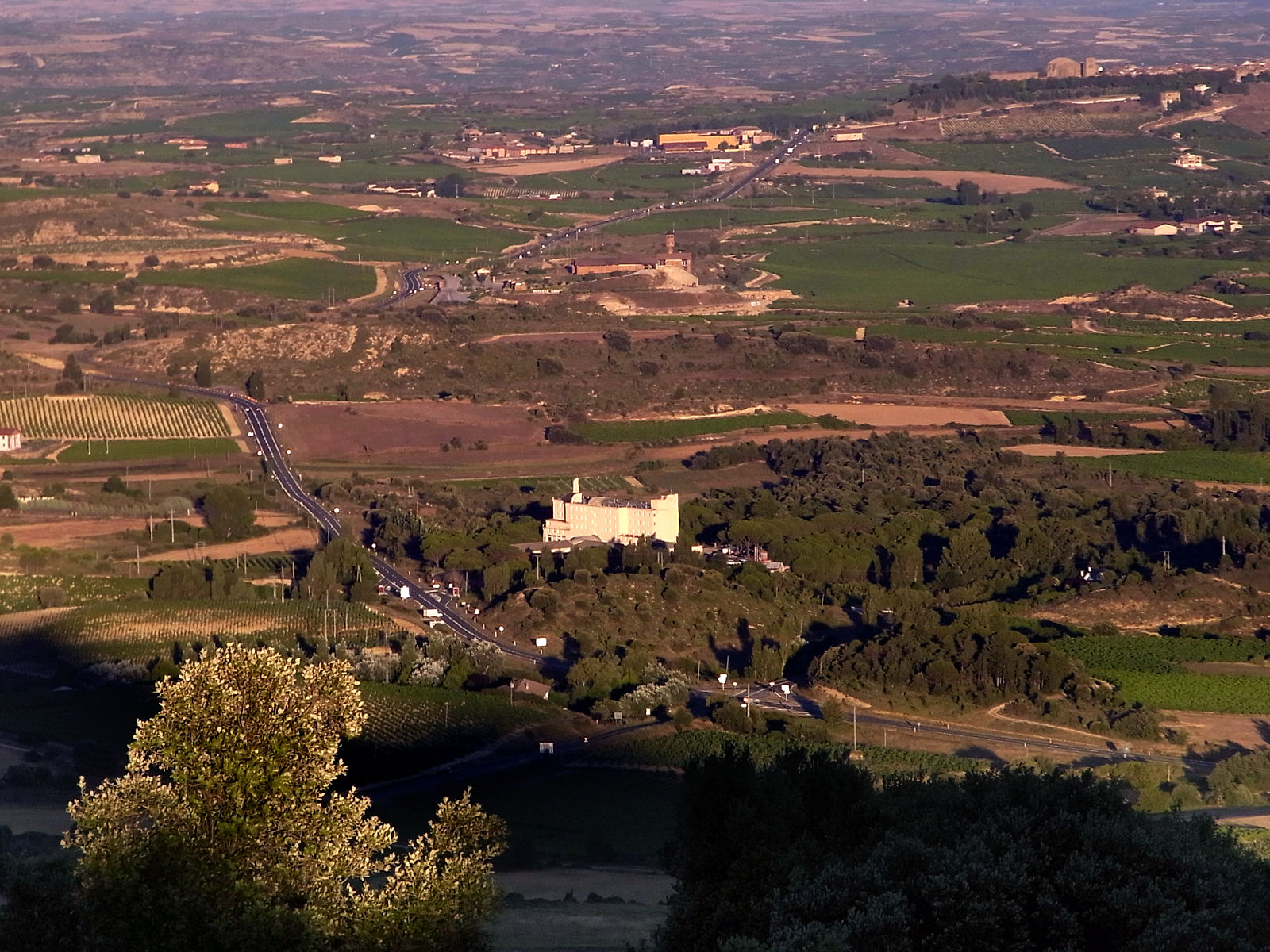 P06G2129.JPG
