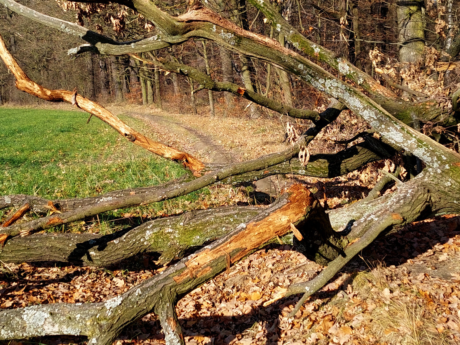 20251119_101306.jpg