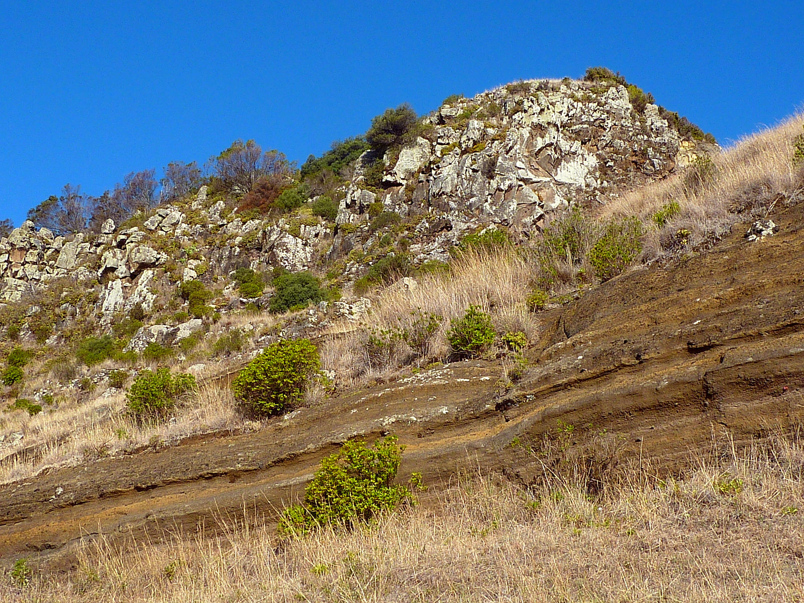 P2200266.JPG
