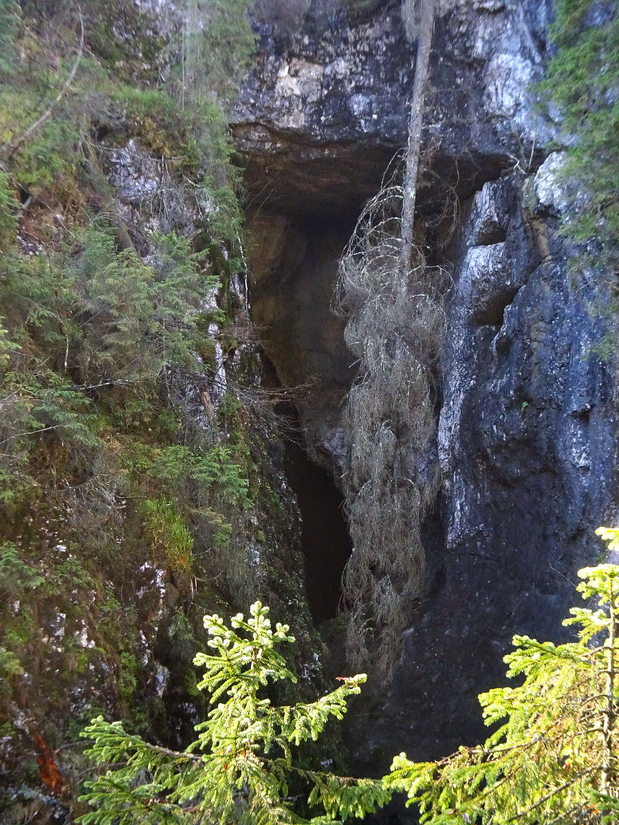 DSC00994.JPG