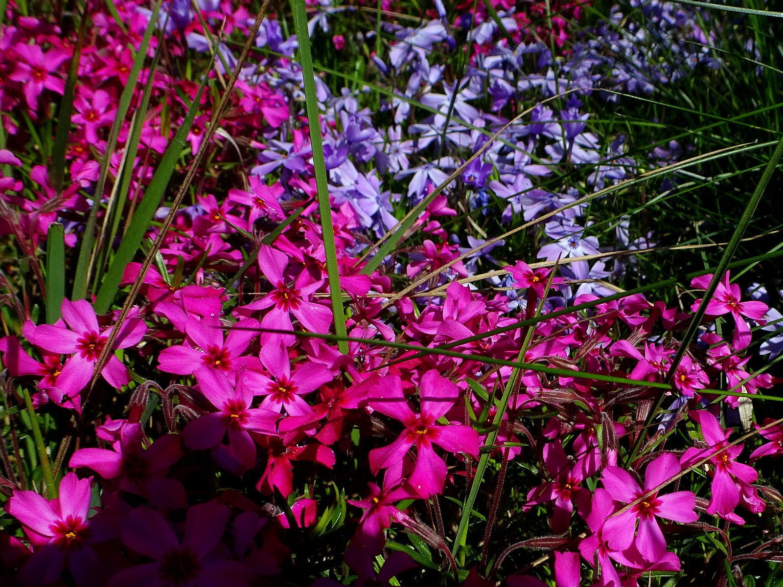 DSC02355.JPG