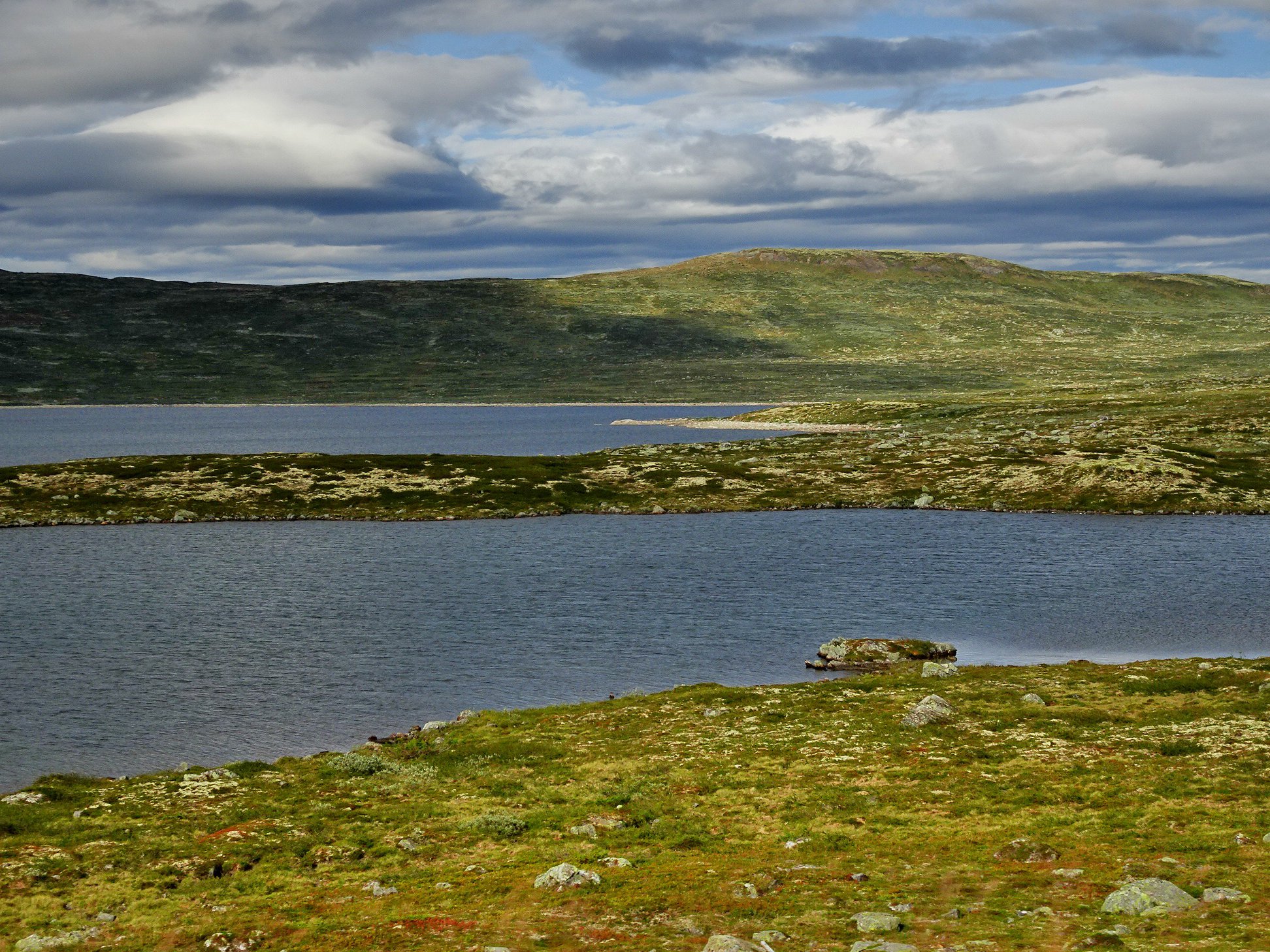 N14.jpg