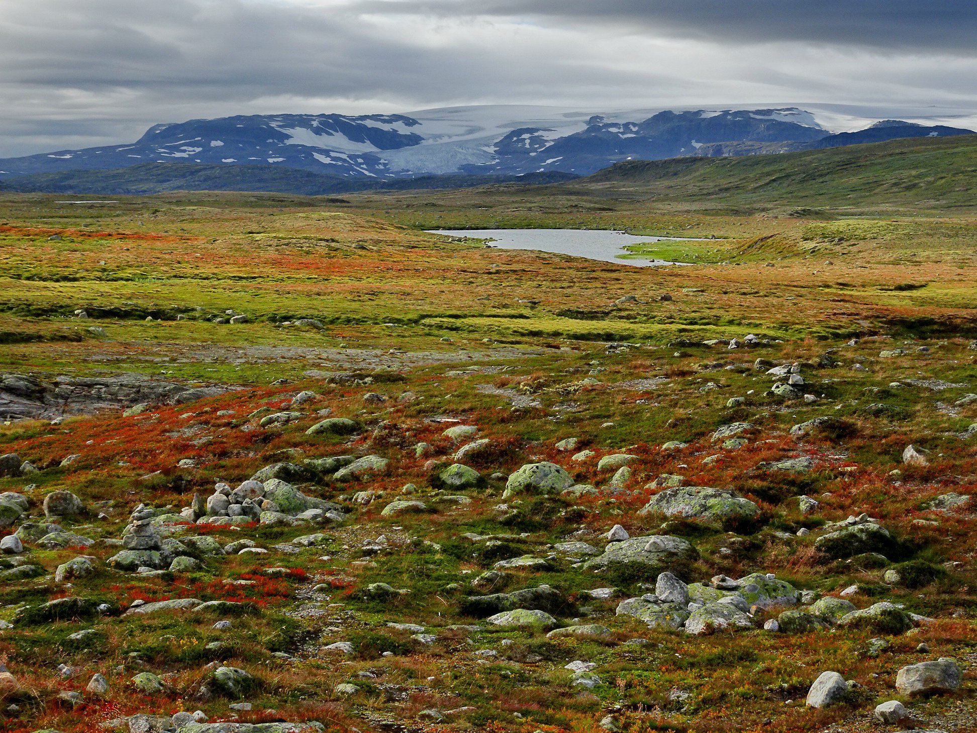 N15.jpg