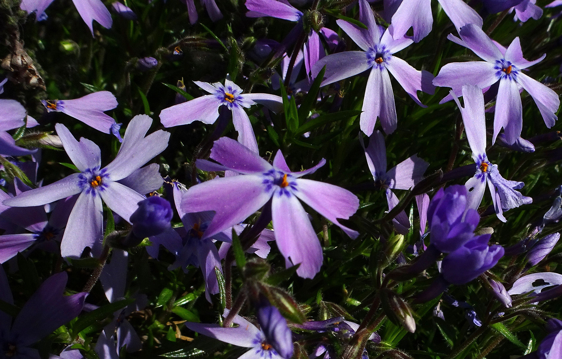 DSC02363.JPG