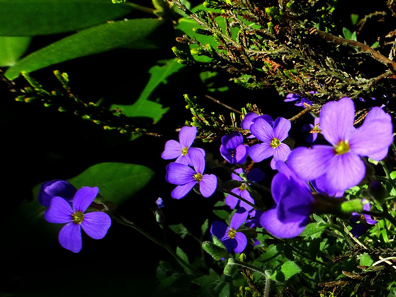 DSC02366.JPG