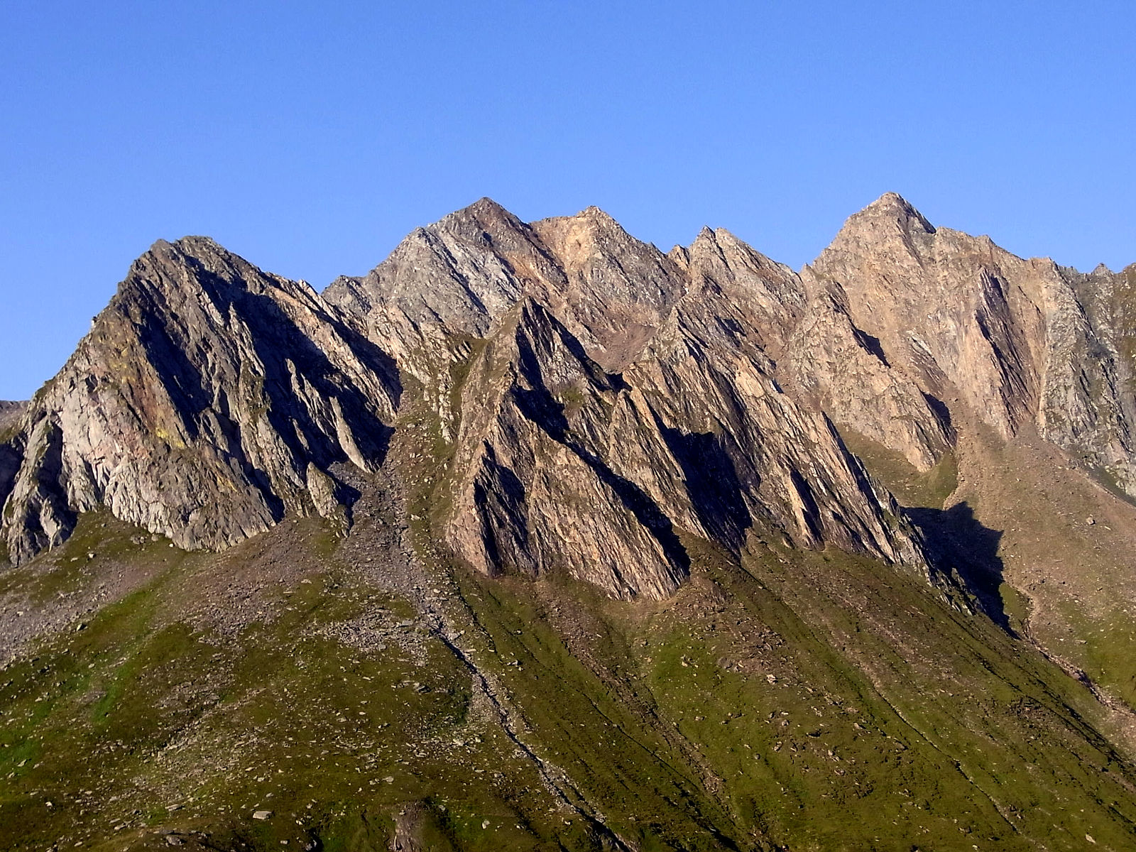 RIMG0969.JPG