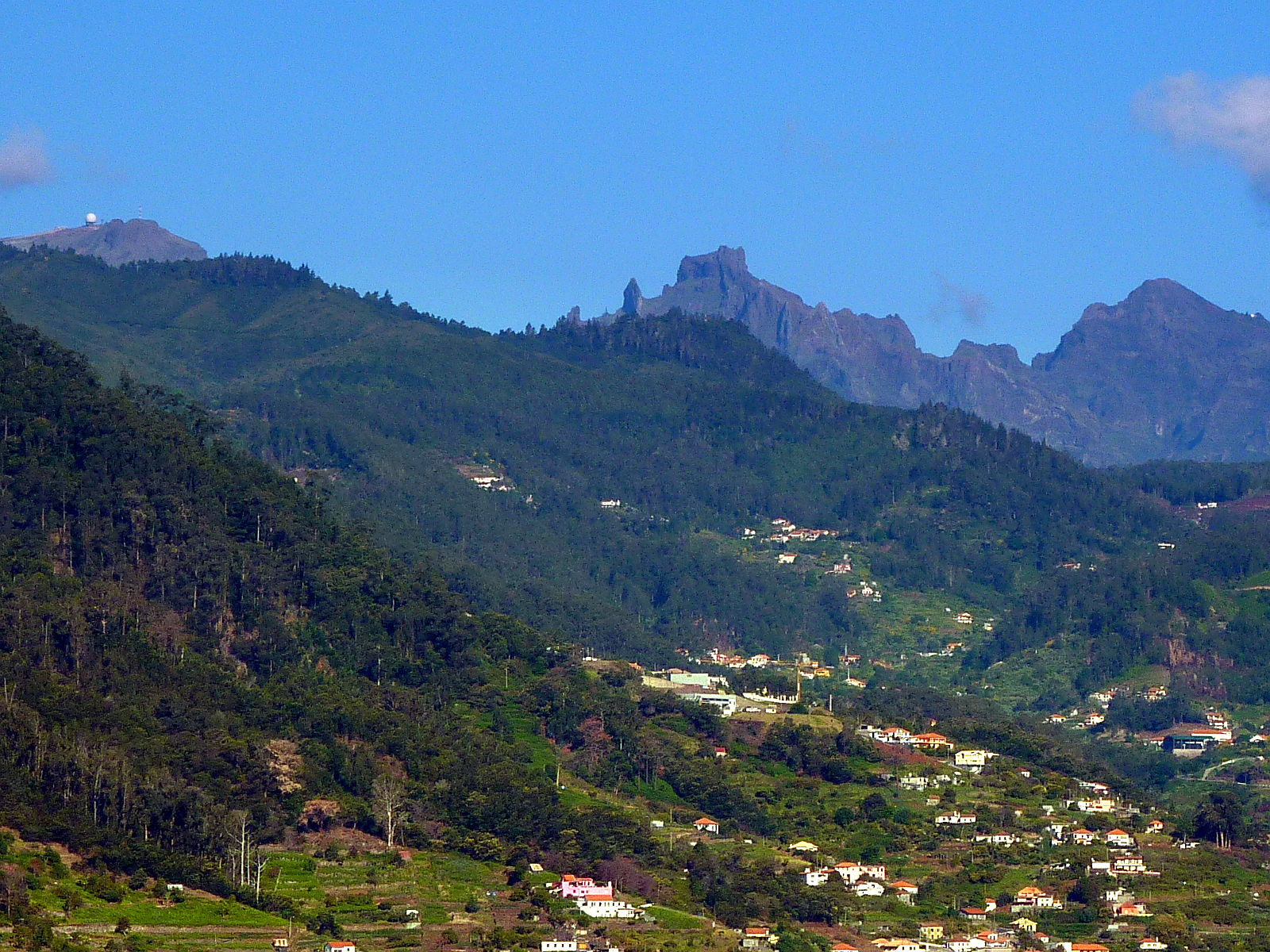 P2200268.JPG