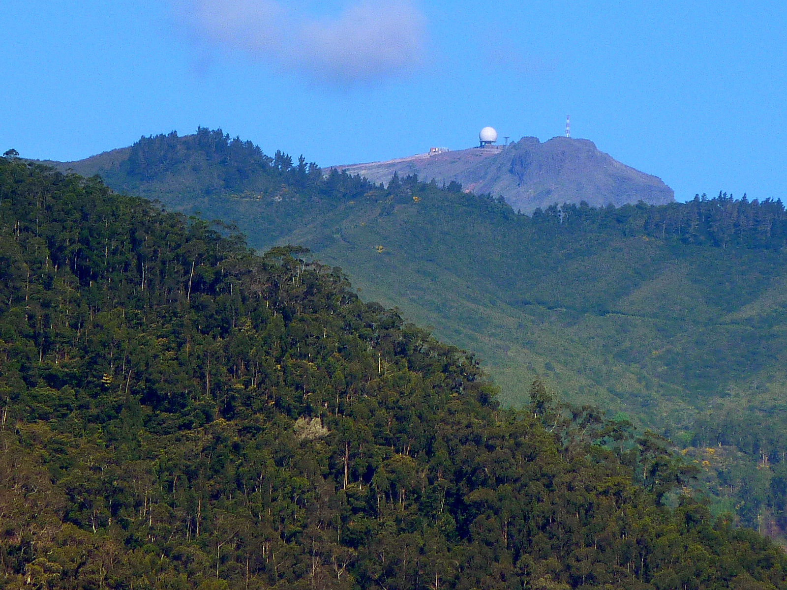 P2200269.JPG