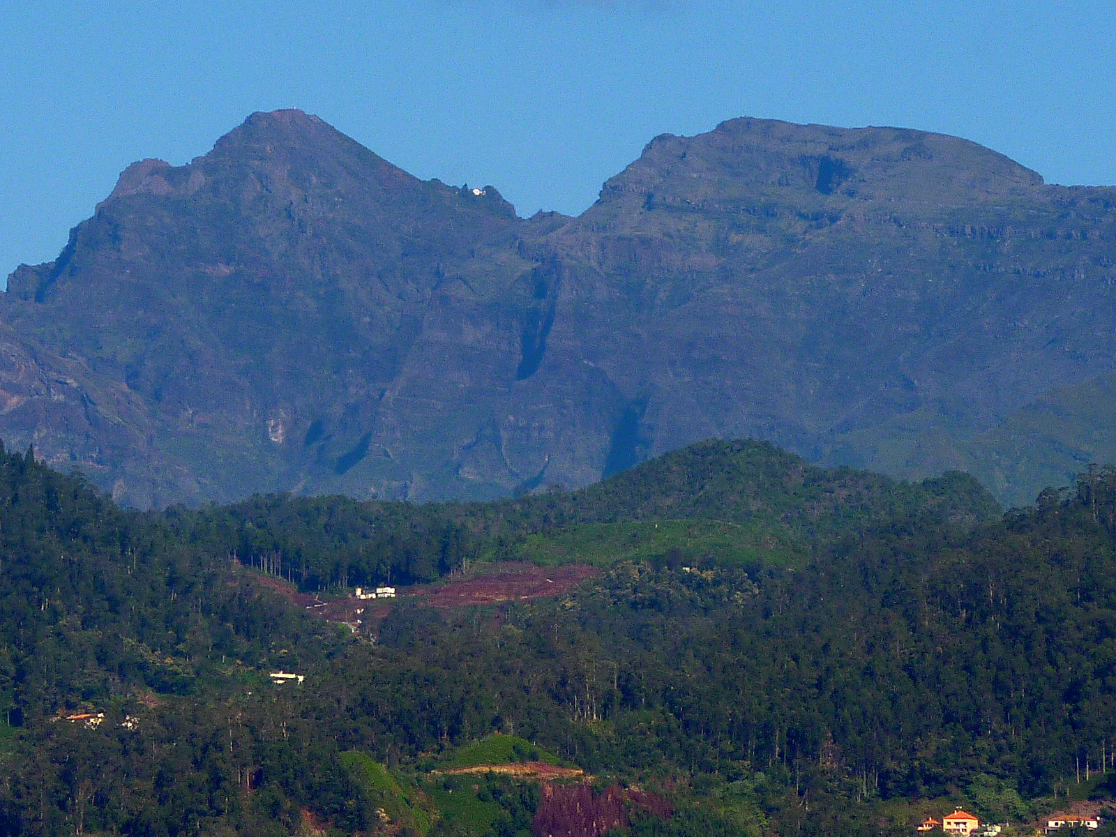 P2200271.JPG