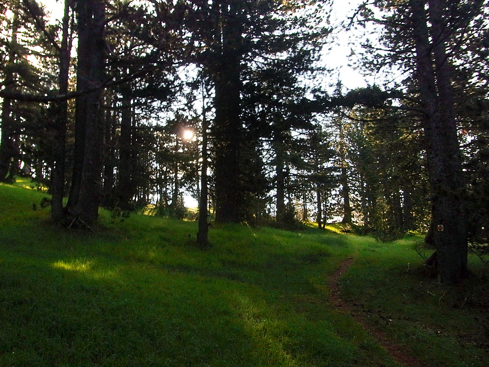 P21G1832.JPG