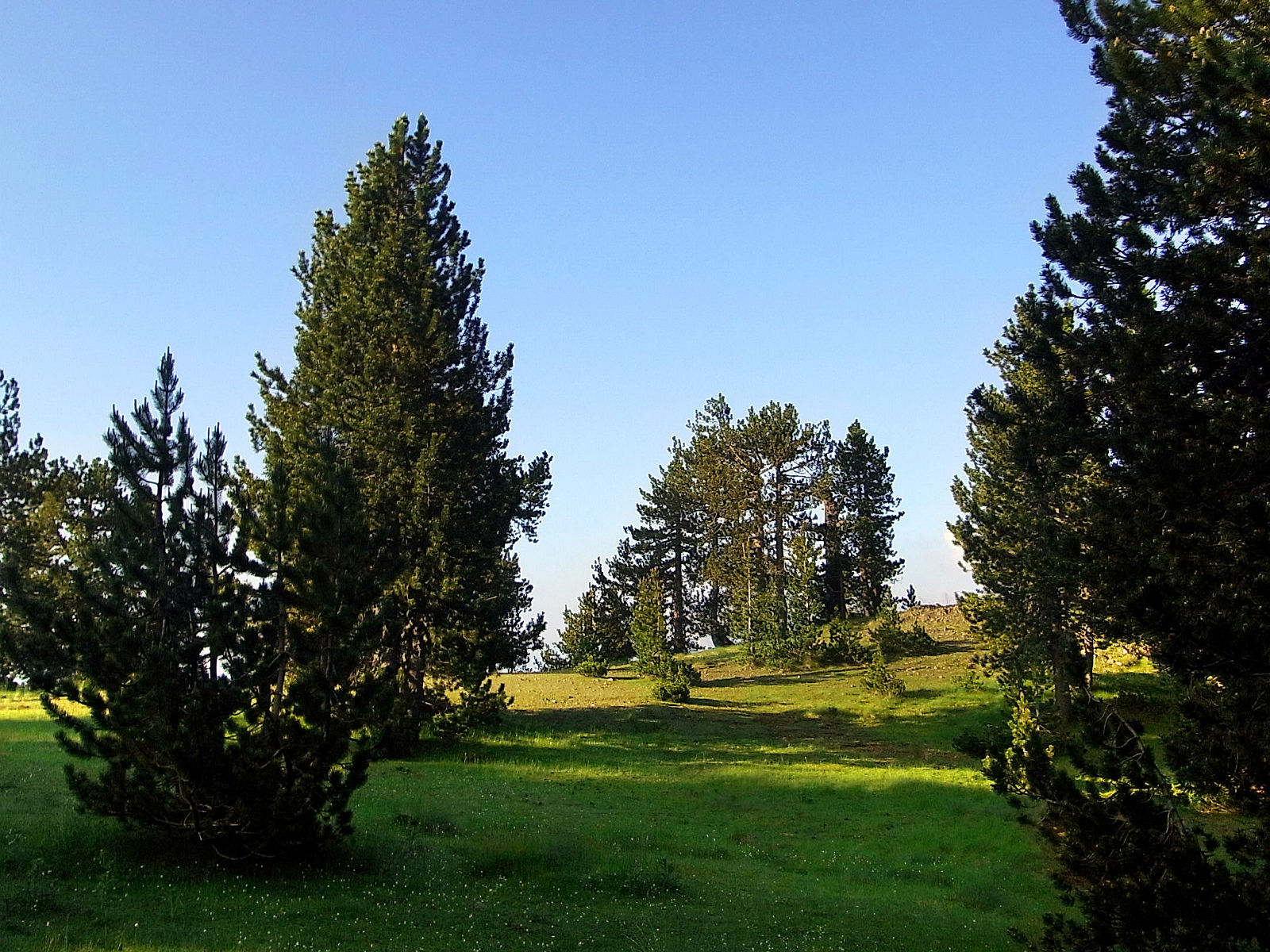 P21G1833.JPG