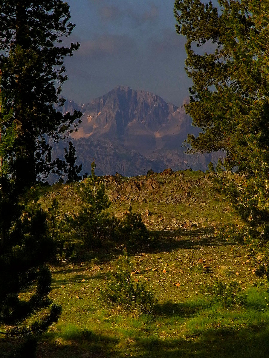 P21G1834.JPG