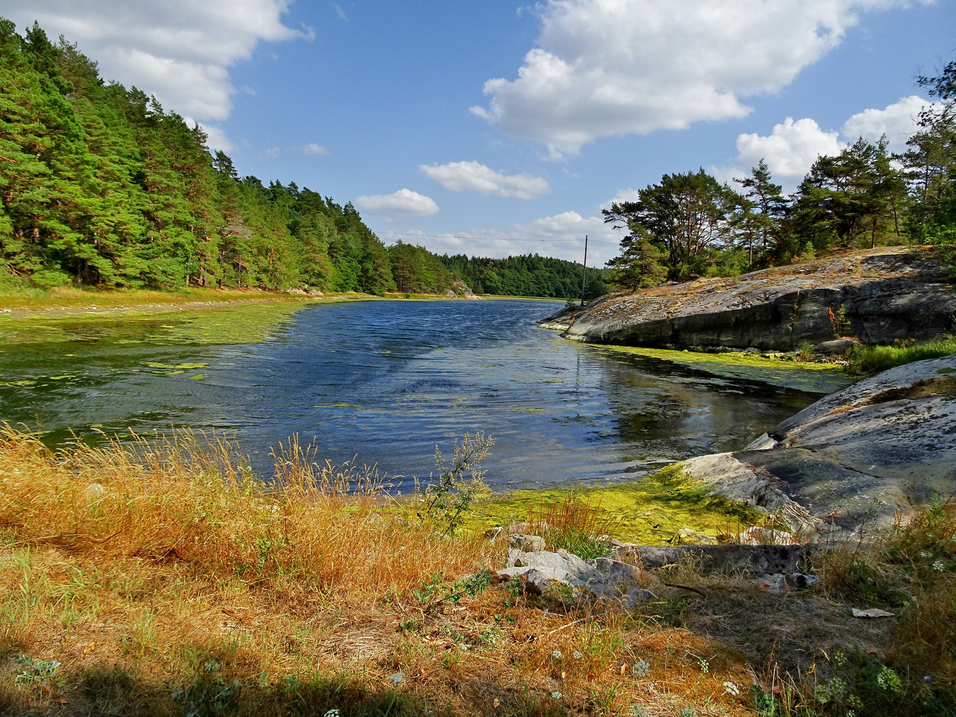 S18.jpg