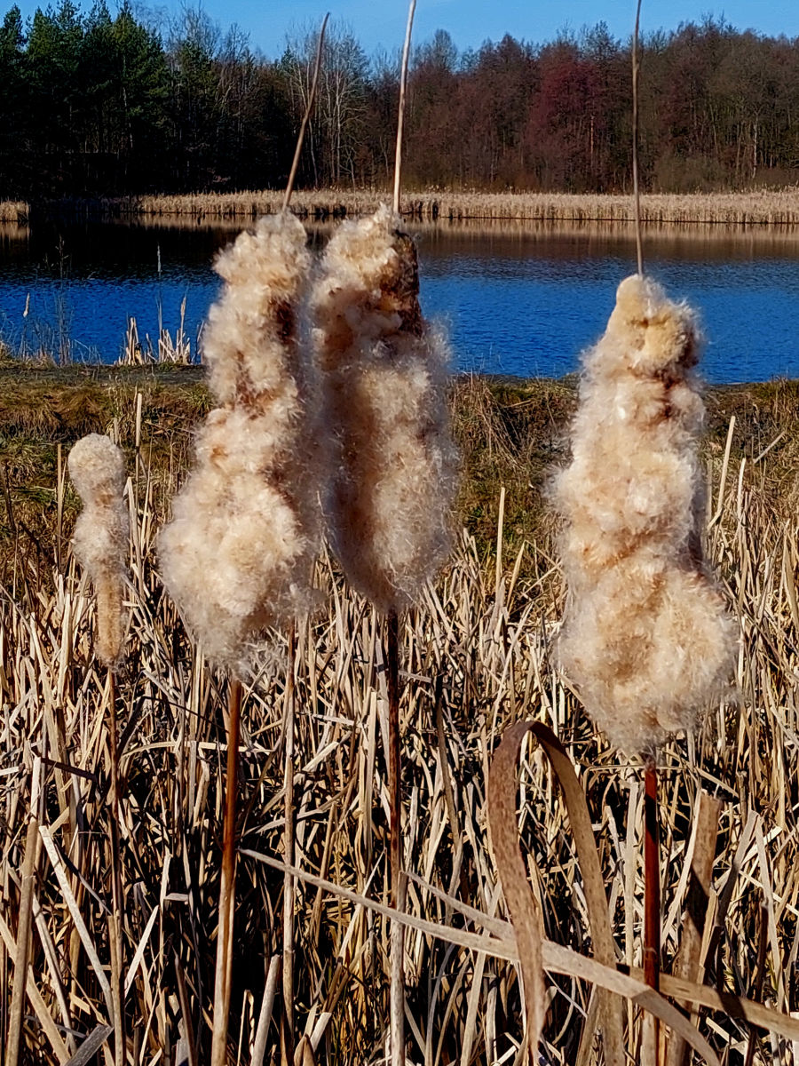 20260305_101340.jpg