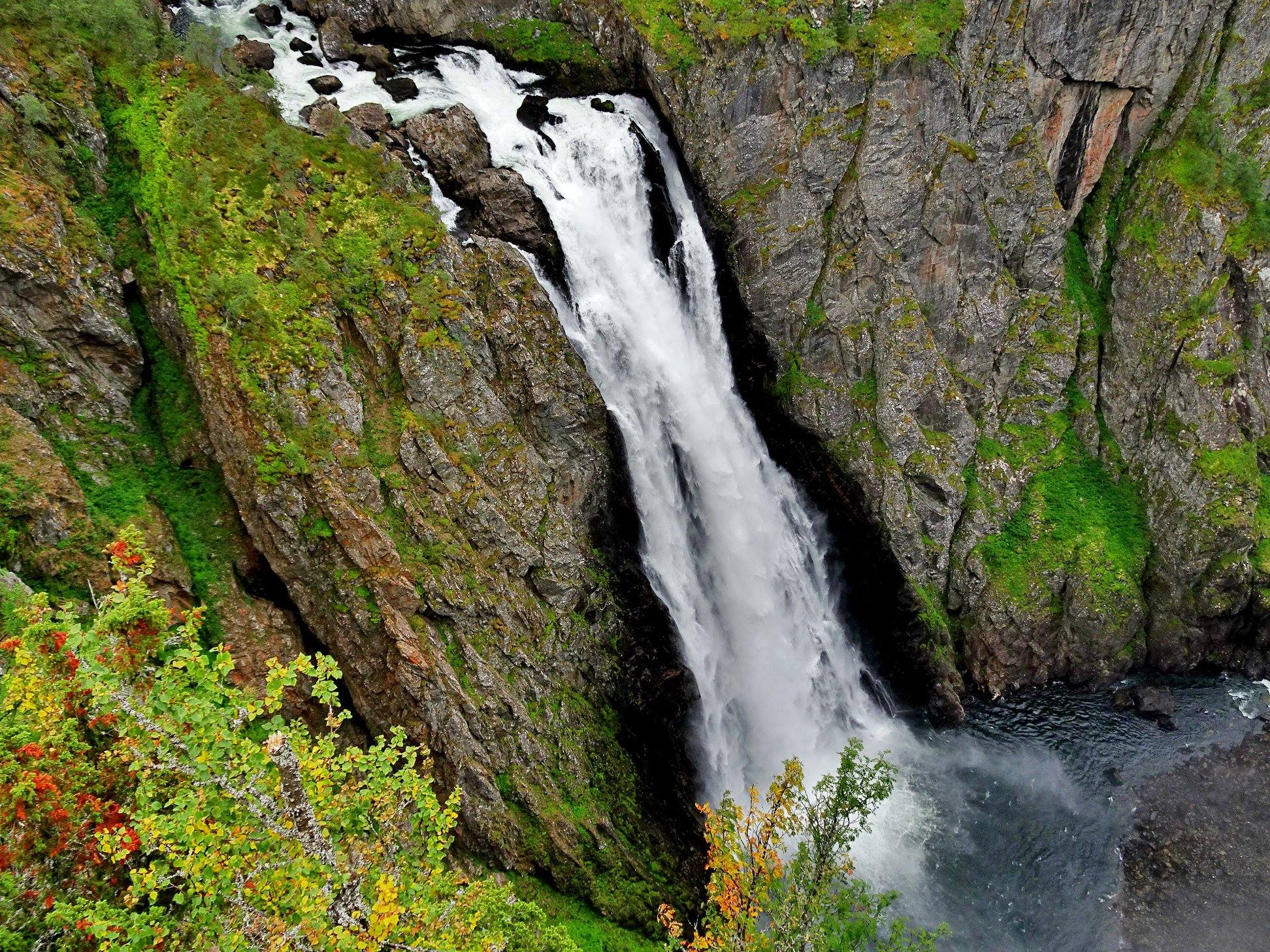 N18.jpg