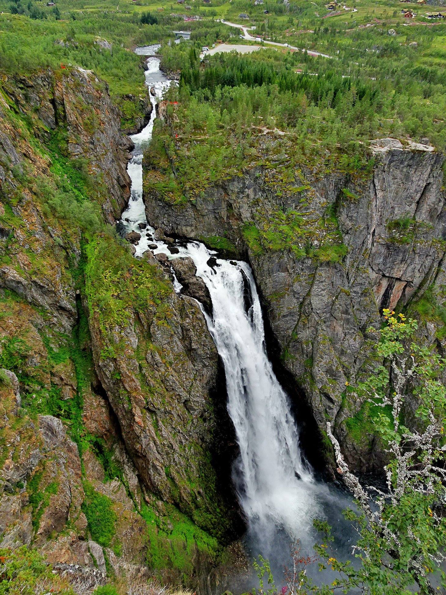 N19.jpg