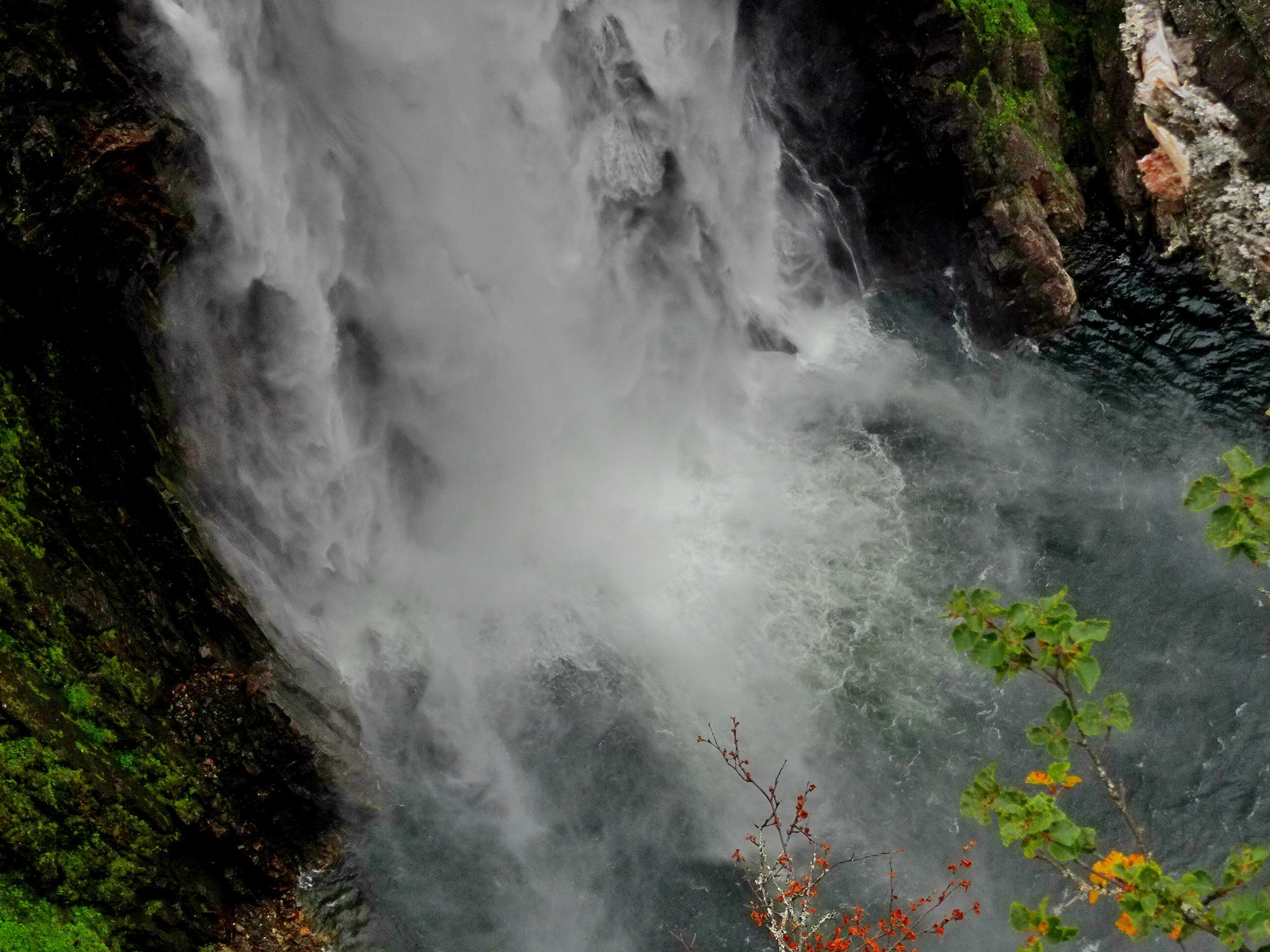 N20.jpg