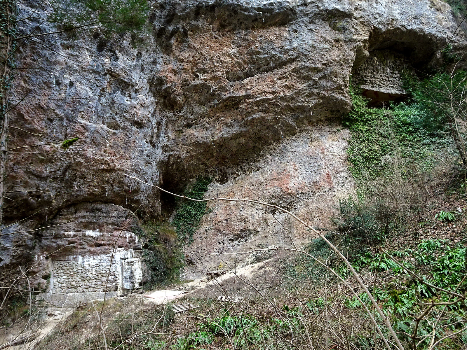 DSC00042.JPG