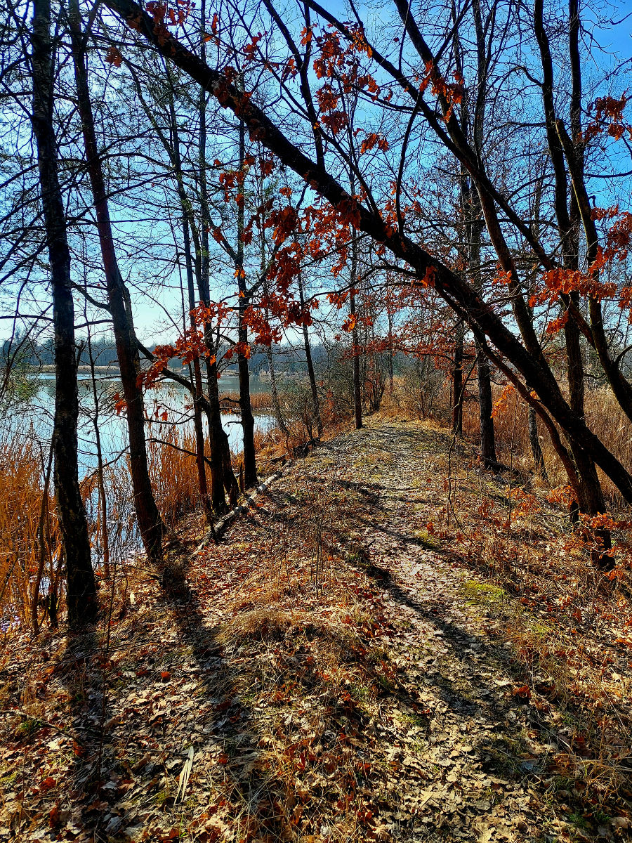20260305_102843.jpg
