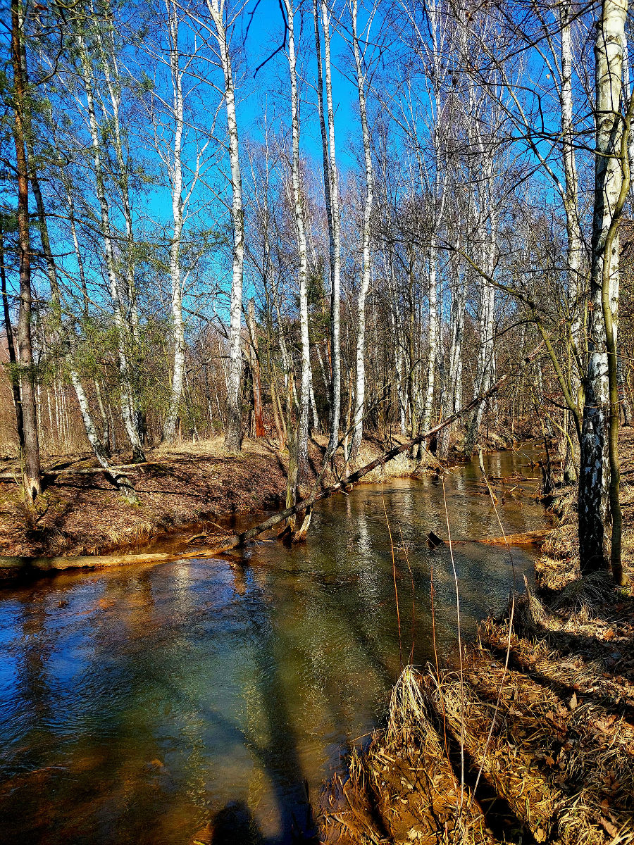 20260305_102923.jpg