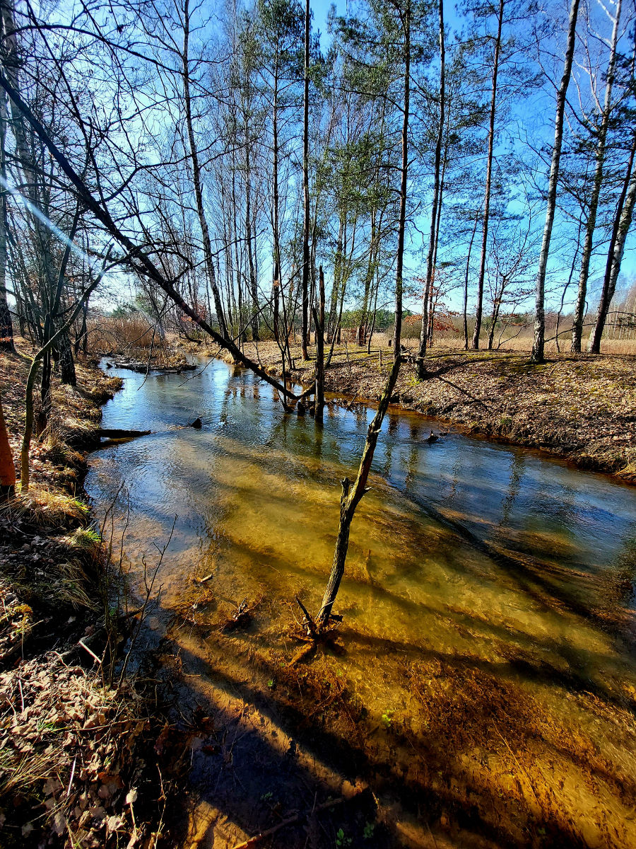 20260305_103014.jpg