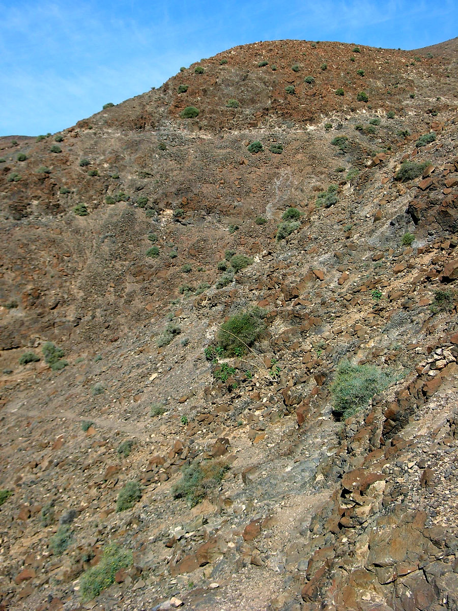 P25G0813.JPG