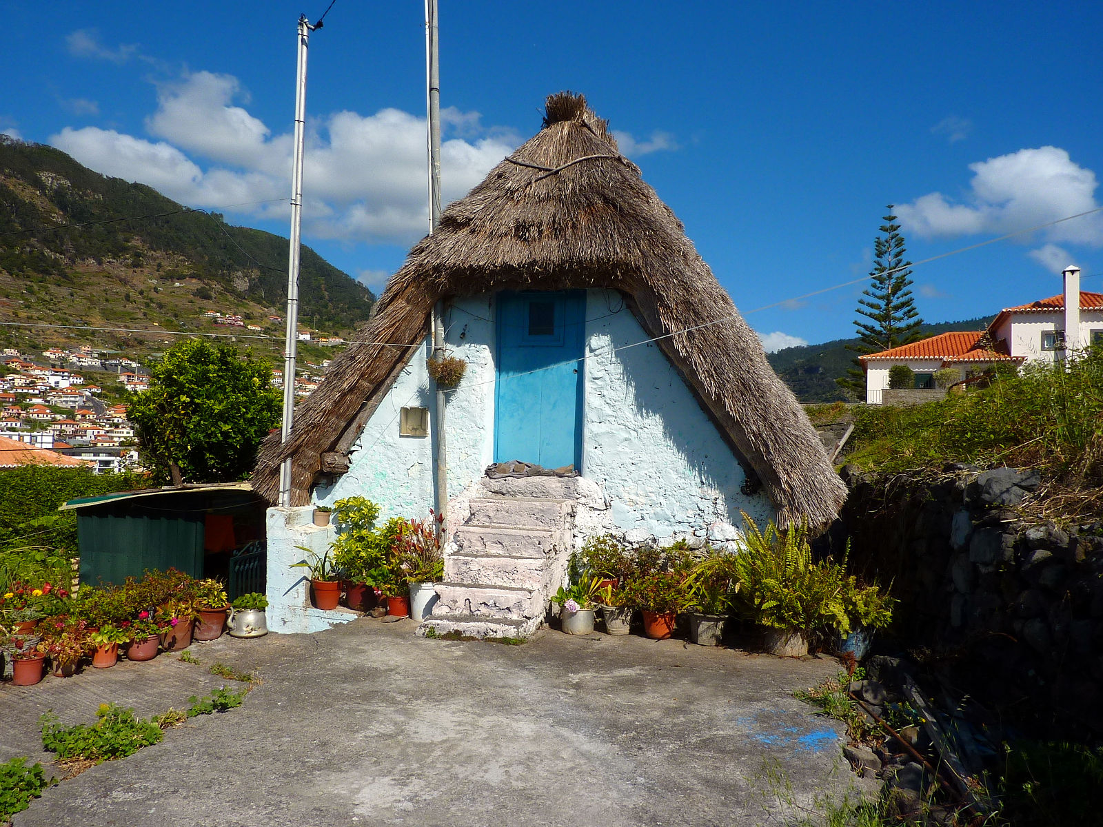 P2200279.JPG