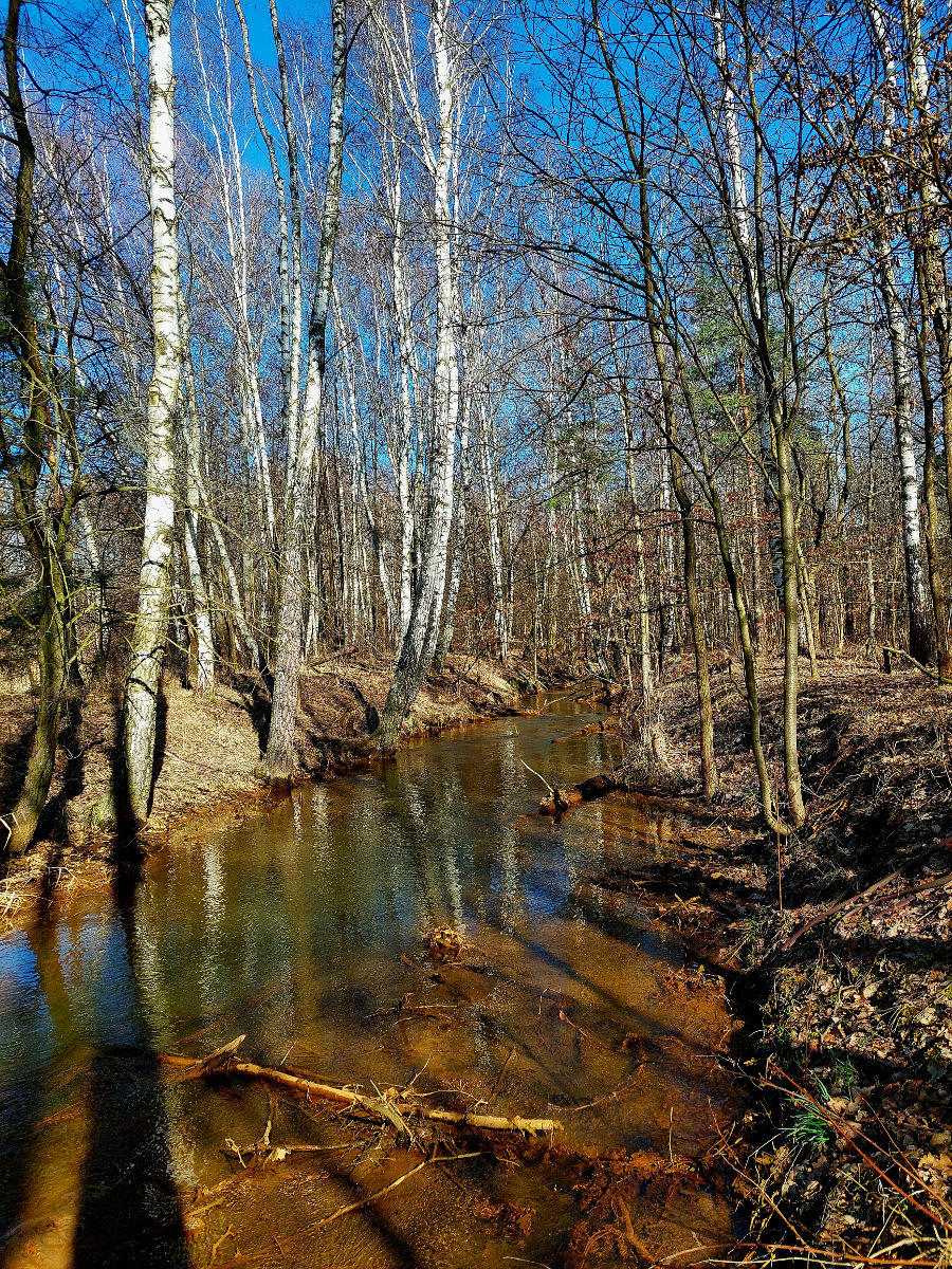 20260305_103035.jpg