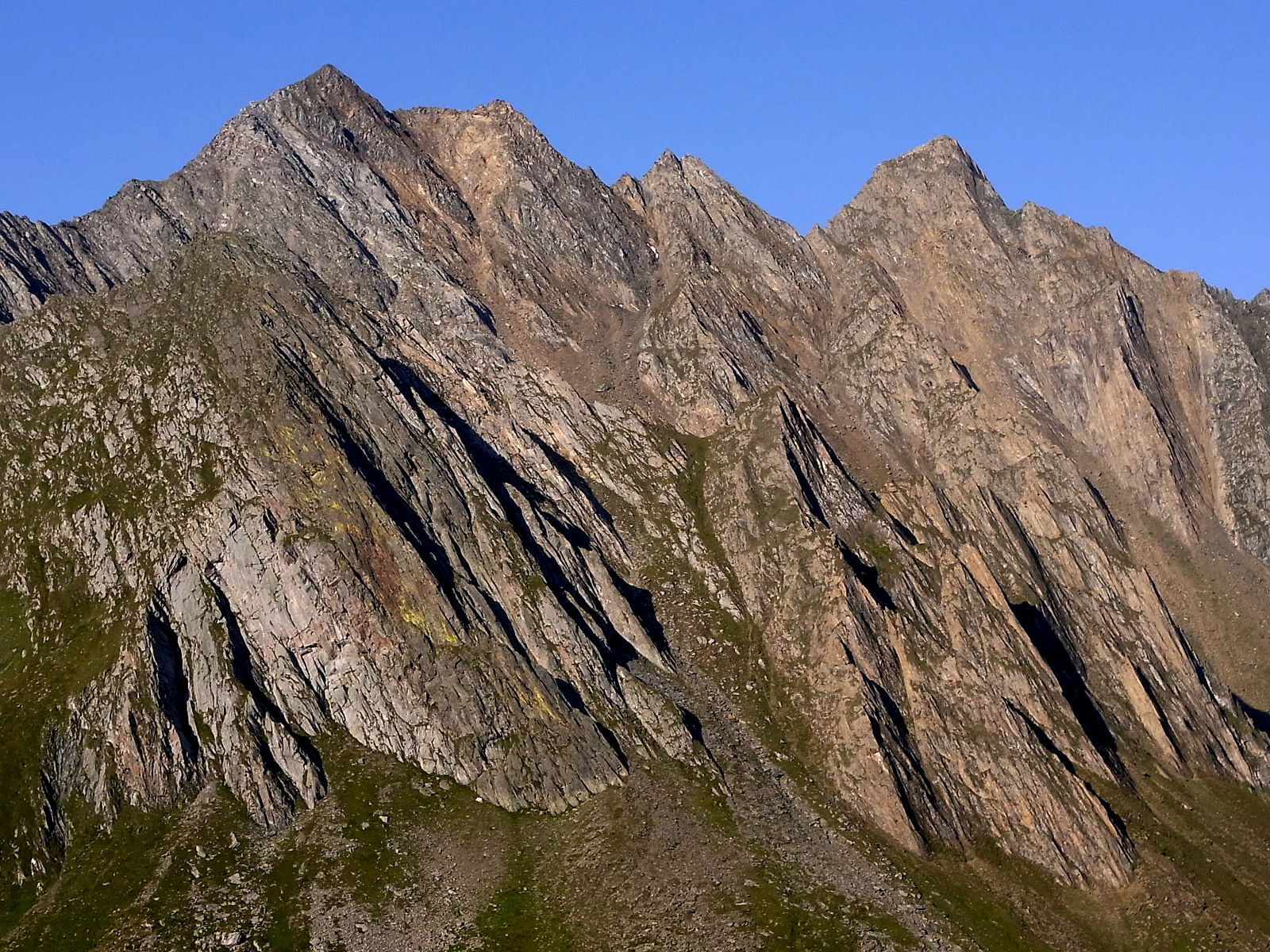 RIMG0974.JPG