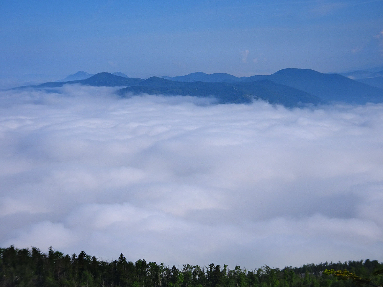 DSC01085.JPG