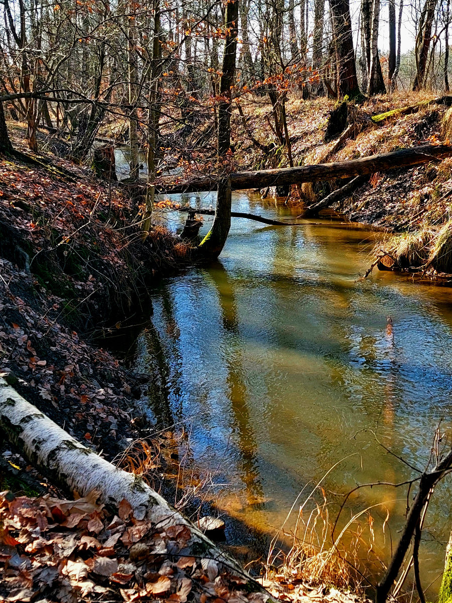 20260305_103545.jpg